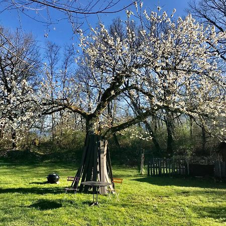 Le Pipapo Appartamento Saint-Martin-de-Bavel Esterno foto