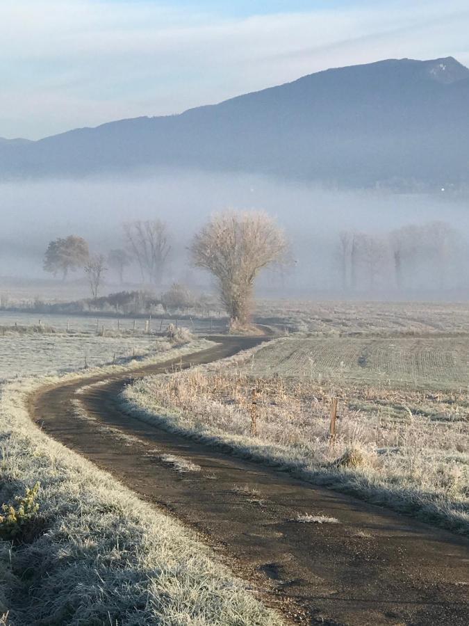 Le Pipapo Appartamento Saint-Martin-de-Bavel Esterno foto