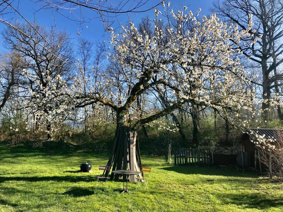 Le Pipapo Appartamento Saint-Martin-de-Bavel Esterno foto